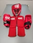 Комплект за защита за бойни изкуства "SZ fighters", снимка 2