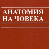 Анатомия на човека Балтаджиев, снимка 1 - Специализирана литература - 45125081