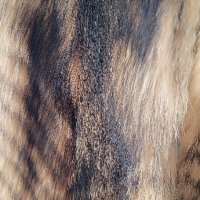 Кожено палто от лисица, отлично състояние , снимка 2 - Палта, манта - 45073010