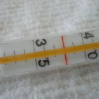 Контролен термометър от +32 до +45C Germany, снимка 4 - Медицинска апаратура - 45239546