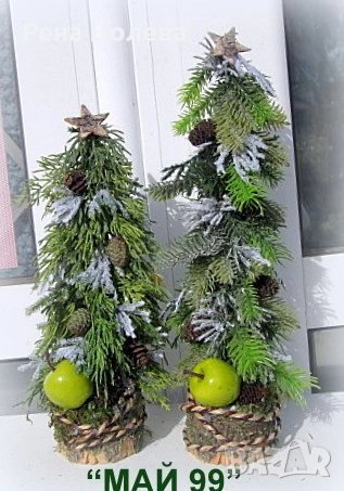 Зелена елха на пънче, снимка 1