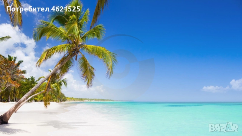 Доминикана - Карибска мечта с вкус на ром и слънце! 9 дни/ 7 нощувки на база All Inclusive, снимка 1