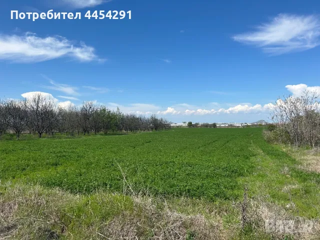 Продавам нива в м.Фиданлъка в землището на с.Марково и в близост до с.Първенец и Зеленчукова Борса, снимка 4 - Земеделска земя - 50036623