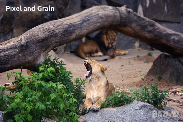 Tamron AF 28-200mm f3.8-5.6 AF LD EF обектив Канон, снимка 5 - Обективи и филтри - 53567239