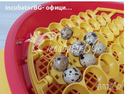 Румънски автоматичен инкубатор за 51 яйца, снимка 2 - За птици - 53914722