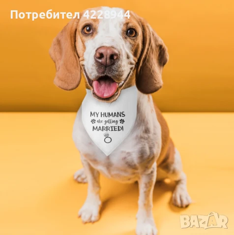 Кучешка бандана за сватба – "My Humans Are Getting Married" – 63x43 см, снимка 3 - Сватбени аксесоари - 50778665