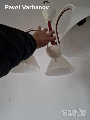 Продавам Полилеи, снимка 4 - Полилеи - 53025706