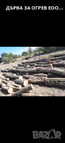 предлагам дърва за огрев метровки акация салкъм дървата са едри едри доставям до адрес 95лв 08959774, снимка 2 - Дърва за огрев - 51712622