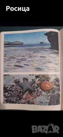 Африка на Лесли Браун от 1976 година, снимка 5 - Енциклопедии, справочници - 51776442