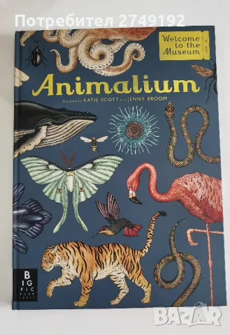 Animalium - Джени Брум, снимка 1 - Енциклопедии, справочници - 46891319