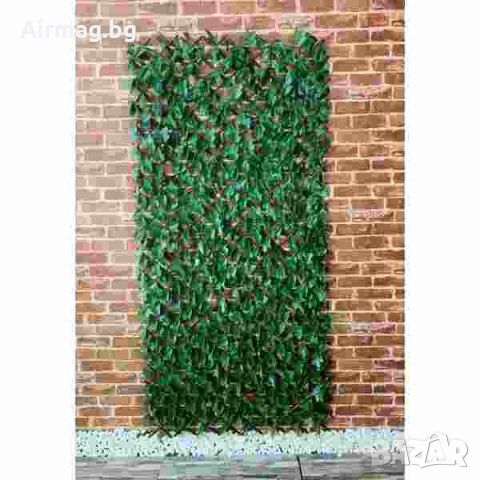 Декоративна ограда от Зелен Бръшлян на скара