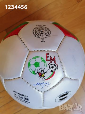 Кожена топка от Европейското по футбол в Германия, снимка 2 - Футбол - 46464047