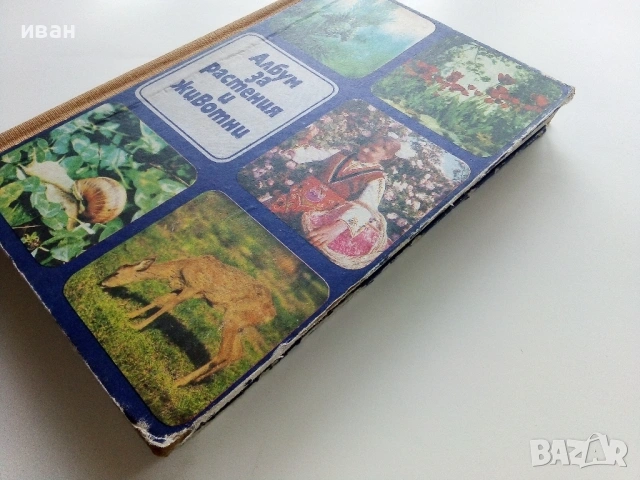 Албум за растения и животни - Н.Боев,С.Петров,П.Кръстев - 1976г., снимка 11 - Енциклопедии, справочници - 53185115
