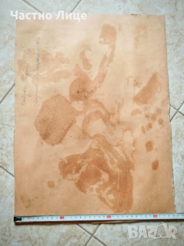 Картина на Българския Художник проф.Найден Петков (1918-1989), снимка 3 - Антикварни и старинни предмети - 52868253