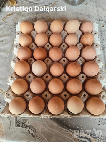 Продавам домашни яйца