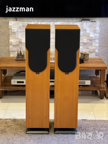 Chario Syntar 200 Tower – Италиански Hi-Fi подови тонколони, снимка 5 - Тонколони - 53797555