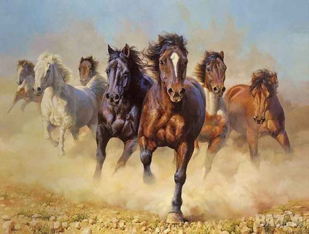 Сила и мощ, арабски коне, картина