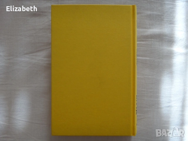 Нова - Каменното ложе - Маргарет Атууд, снимка 2 - Художествена литература - 53111128