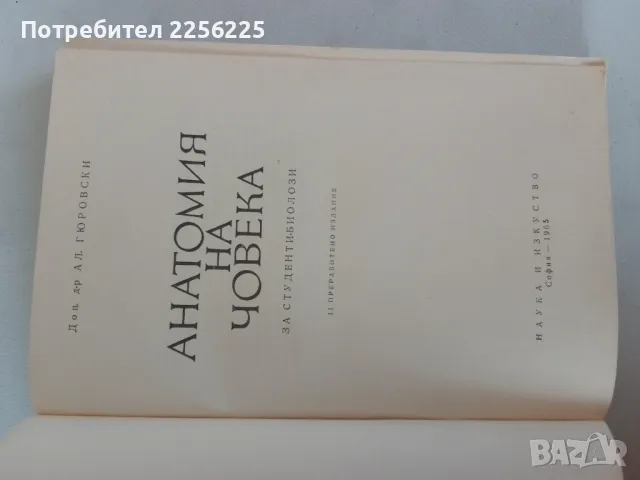 Анатомия на човека , снимка 8 - Други - 46941856