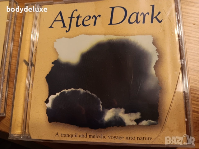 Еssential Elements аудио дискове, снимка 3 - CD дискове - 54126600