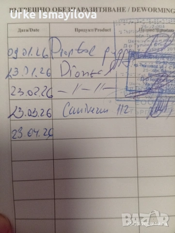 мини йоркширски териер , снимка 6 - Йоркширски териер - 53969630