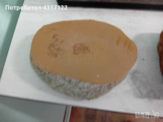 Терариум терариум, снимка 7 - Хамелеон - 53830266