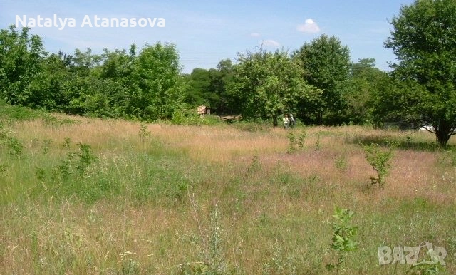 Къща за продажба в Бдинци, Добрич, снимка 10 - Къщи - 53635110