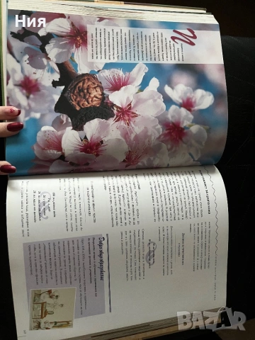 Книга “Съветите на баба”, снимка 2 - Други - 53432051