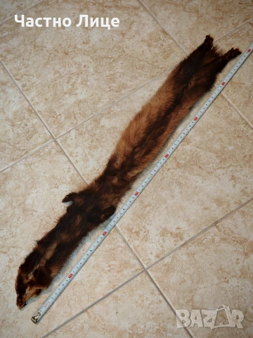 Продавам Две Обработени Кожи от Норка , снимка 3 - Антикварни и старинни предмети - 53330522