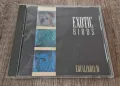 Компакт Дискове - Поп - Рок: Exotic Birds - Equilibrium, снимка 1