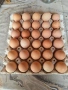 Продавам домашни яйца, снимка 1