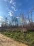 Парцел с МОРСКА гледка в Боровец-Юг, снимка 3