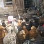 Продавам пилета на различна възраст, ваксинирани, дадено всичко необходимо , снимка 2