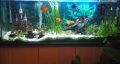 Продавам празен аквариум БЕЗ ТЕЧОВЕ в перфектно състояние, снимка 6