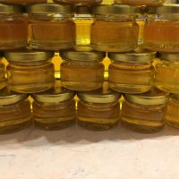 Малки бурканчета пълни с мед-0,25 мл., снимка 3 - За селскостопански - 45078416