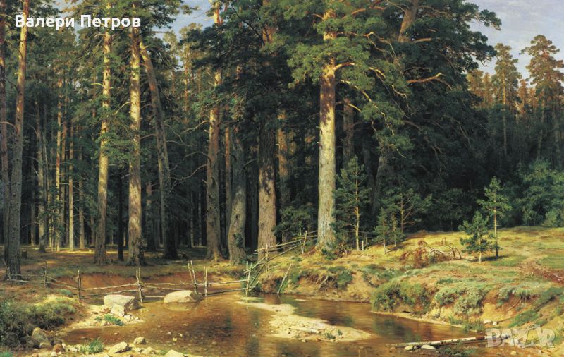 Репродукции на картини Иван Иванович Шишкин (1832 - 1898) Пейзажи, снимка 1