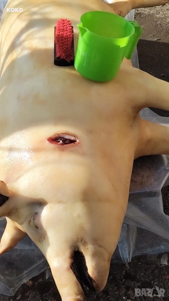 Пърлена сланина-10лв за кг, снимка 1