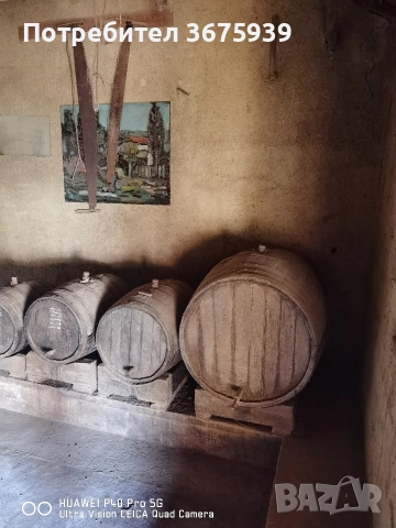 къща с двор в с.Глушник, снимка 6 - Къщи - 51624753