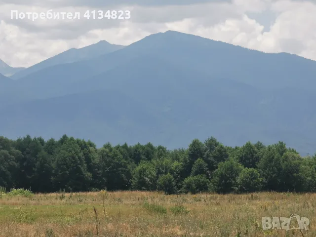 ПАРЦЕЛ С ЛИЦЕ НА ПЪТ, НА 250 М. ОТ РЕГУЛАЦИЯТА НА С. БАНЯ!, снимка 7 - Парцели - 47192690