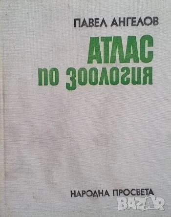 Атлас по зоология: Безгръбначни животни