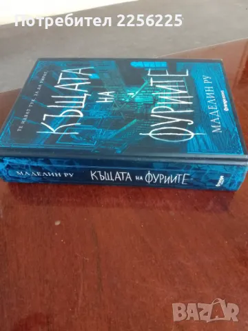 Къщата на фуриите , снимка 6 - Художествена литература - 49901888