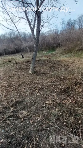 Хамали Дупница Емо тел 0896305155, снимка 8 - Други оферти за работа - 49635021