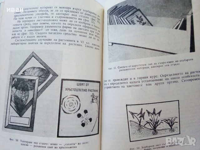 Изработване на саморъчни пособия по биология - Т.Митева - 1967г., снимка 7 - Специализирана литература - 46263937