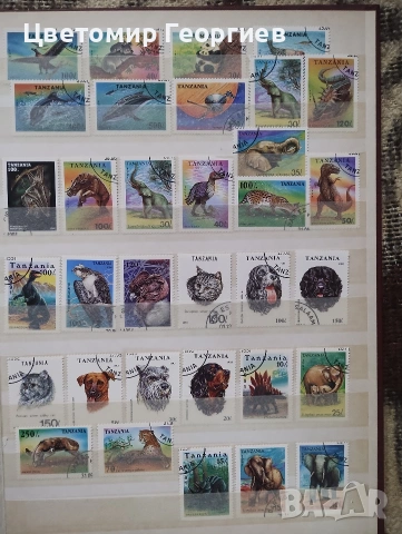 Класьор с марки /животни/ 650 бр ., снимка 8 - Филателия - 53078099