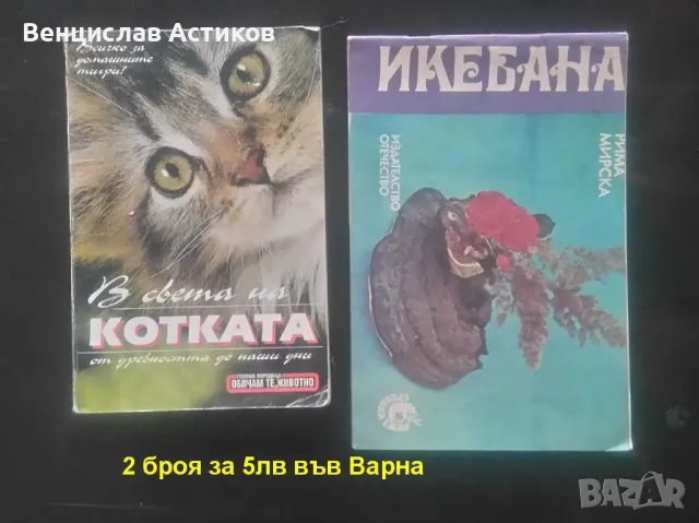 Лотове книги евтино - 1лв., снимка 13 - Други - 49887411