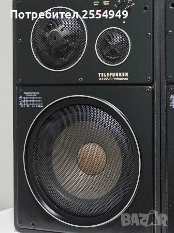 Telefunken TLX22/8 Professional, снимка 4 - Тонколони - 53878819