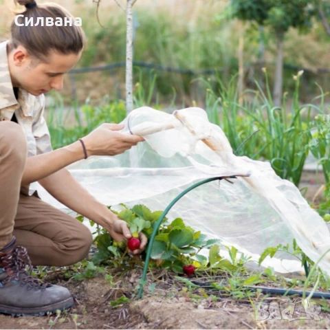 Мини Оранжерия , снимка 3 - Оранжерии - 54289941