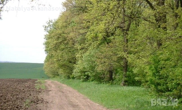 Къща във Ведрина, снимка 12 - Къщи - 53634563