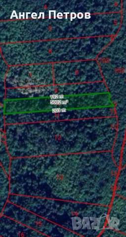 Гора село Долна Бела Речка, общ. Вършец, снимка 4 - Земеделска земя - 54078046