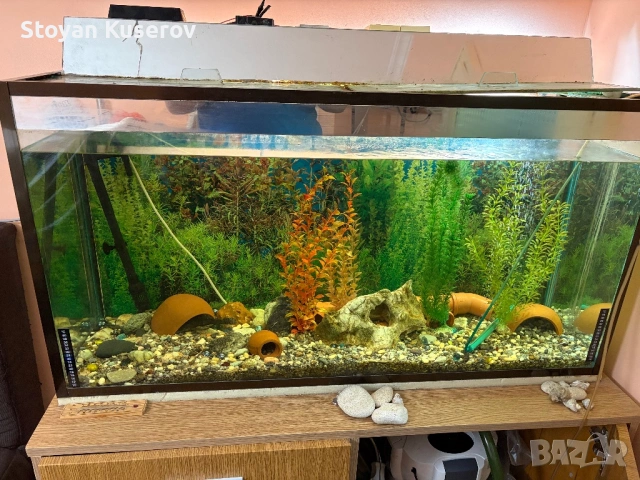 Аквариум с филтърна помпа и шкаф